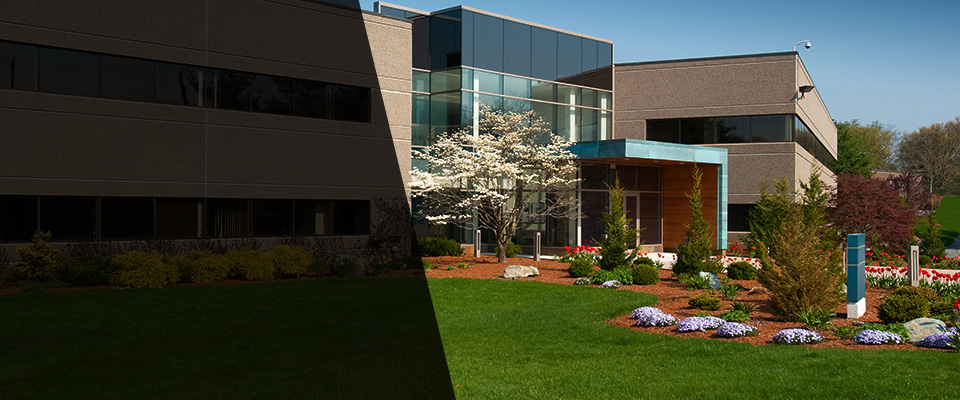 New Oxford Landscapers