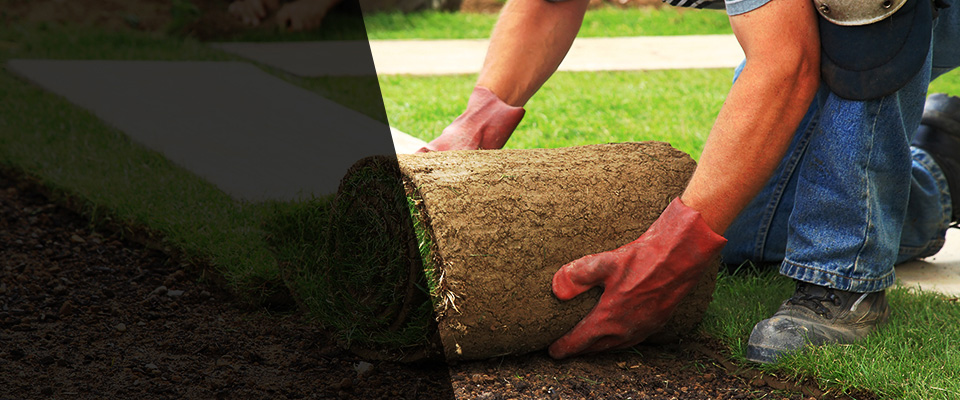 New Oxford Landscapers